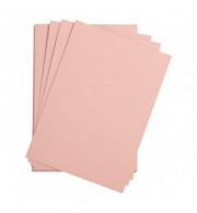 FEUILLE DESSIN A GRAIN 50X65 ROSE 160G