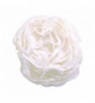 PAPIER DE SOIE 24FLLES BLANC 50X75CM