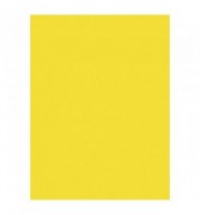 PAPIER AFFICHE 25 FLES 60X80 JAUNE CITRON 90G