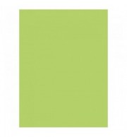 PAPIER AFFICHE 25 FLES 60X80 VERT POMME 90G