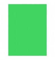 PAPIER AFFICHE 25 FLES 60X80 VERT MENTHE