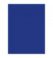 PAPIER AFFICHE 25 FLES 60X80 BLEU MARINE 90G