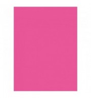 PAPIER AFFICHE 25 FLES 60X80 FUSCHIA 90G