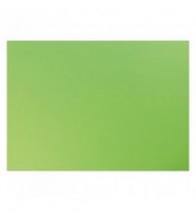 PAPIER CARTADOR 50X65 ETUI 25 FLES VERT POMME 270GRS