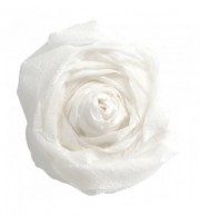 PAPIER CREPON PQT 10 RLX BLANC 40%