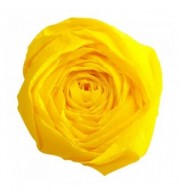PAPIER CREPON PQT 10 RLX JAUNE 40%