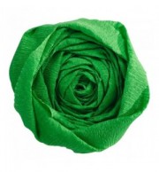 PAPIER CREPON PQT 10 RLX VERT PRE 40%