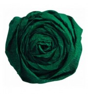 PAPIER CREPON PQT 10 RLX VERT BOUTEILLE 40%