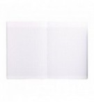 CAHIER CLAIREFONTAINE PIQURE 21X29,7cm SEYES 96P 90G