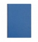 CAHIER SPIRALE AGE BAG 210x297mm (A4) SPIRALES 100P LIGNEES - BLEU