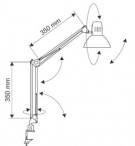 Lampe de bureau "architecte" sur pince MAULstudy LED incluse