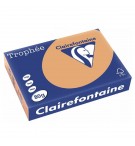 Ramette 500 Feuilles A4 caramel 80G REPRO CLAIREFONTAINE 1879C