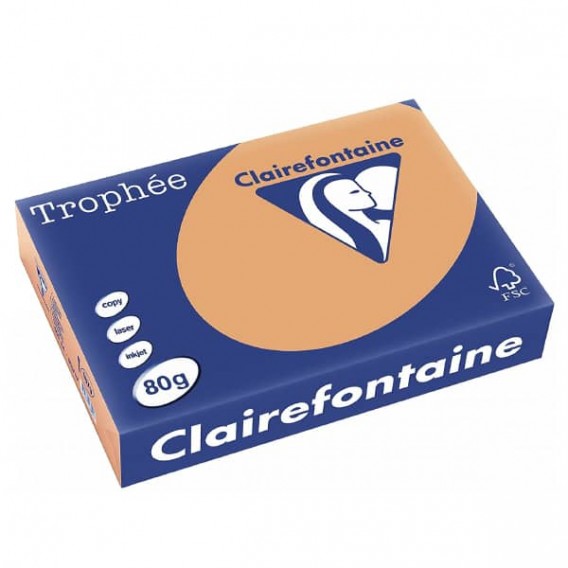 Ramette 500 Feuilles A4 caramel 80G REPRO CLAIREFONTAINE 1879C