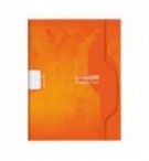 Cahier 48 pages 17 x 22 cm grand carreaux Seyes Calligraphe 7004C