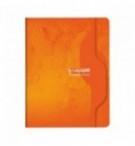CAHIER PIQURE 17X22cm SEYES 96P 70G
