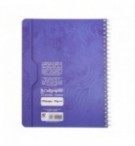 CAHIER SPIRALE 17X22cm 100P 5X5 70G