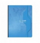 CAHIER BROCHE 17X22cm 192P 5X5 70G - ASSORTIS
