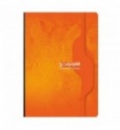 CAHIER BROCHE 21X29,7cm 192P SEYES 70G - ASSORTIS