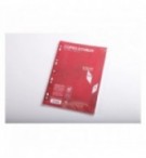 COPIES DOUBLES 70G SEYES 210X297 / PAQ DE 100F (200P)