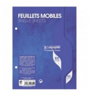 FEUILLETS MOBILES 90G SEYES 17X22 / PAQ 50