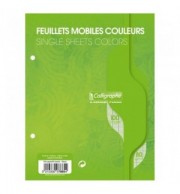 FEUILLETS MOBILES 17X22 80G VERT / PAQ 50