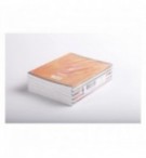 CAHIER PIQURE 17X22cm 96P SEYES 90G