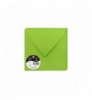 ENVELOPPE 165X165mm VERT MENTHE AUTO ADHESIVE 120G - PAQUET DE 50