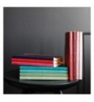 CARNET SOUPLE RHODIARAMA A5 160P LIGNE PAPIER IVOIRE 90G SAUGE