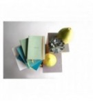 CARNET SOUPLE RHODIARAMA A5 160P LIGNE PAPIER IVOIRE 90G SAUGE