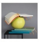 CARNET SOUPLE RHODIARAMA A5 160P LIGNE PAPIER IVOIRE 90G SAUGE