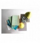 CARNET SOUPLE RHODIARAMA A5 160P LIGNE PAPIER IVOIRE 90G SAUGE