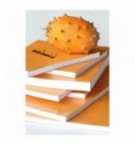 BLOC NOTES RHODIA 210X318mm UNI BLANC 80G