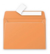 ENV55496-enveloppe-114x162mm-clementine-auto-adhesive-120g---paquet-de-50