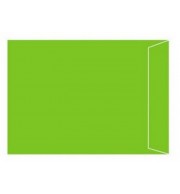 POCHETTE 229X324mm VERT MENTHE AUTO ADHESIVE 120G - PAQUET DE 50