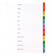 INTMMP-intercalaires-mylar-a4-mensuels