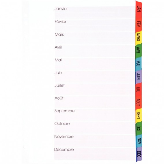 INTMMP-intercalaires-mylar-a4-mensuels