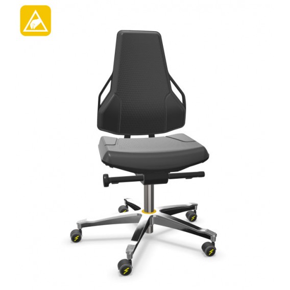 SIEGE DE TRAVAIL DOMAINE ESD