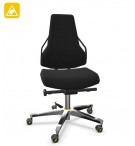 SIEGE DE TRAVAIL DOMAINE ESD