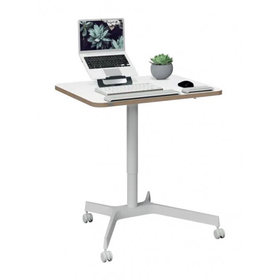 BUREAU ASSIS-DEBOUT COMPACT LEITZ ERGONOMIQUE 65360001