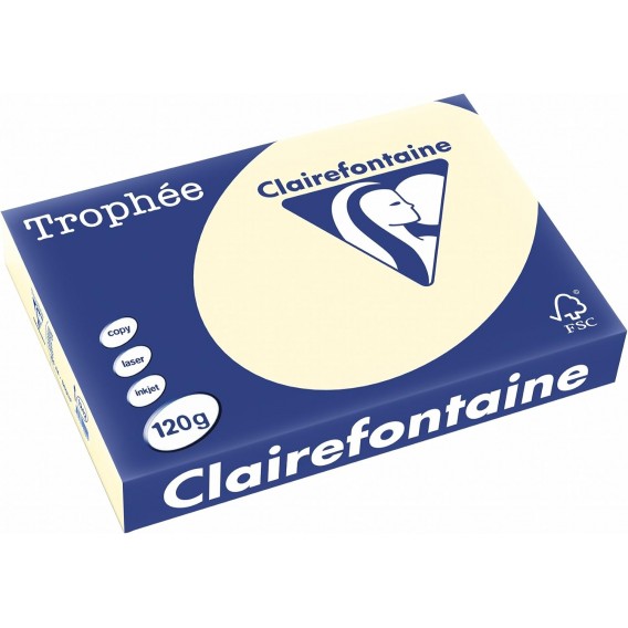 250 feuilles de papier A4 120 g/m² Ivoire Trophee 1242C
