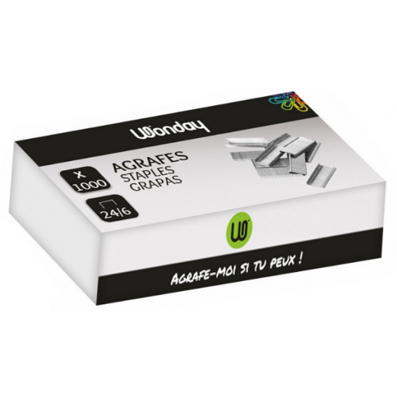 AGR246M-boite-1000-agrafes-24-6