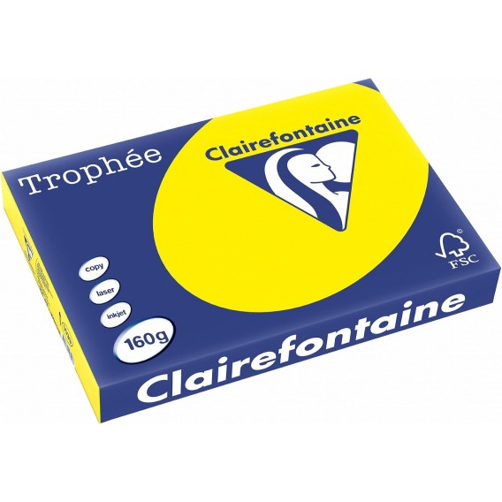 250 feuilles papier A3 jaune soleil 160g Clairefontaine 1039C