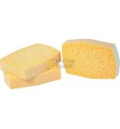 HYGE4-eponge-vegetale-n-4
