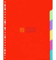 INTERCALAIRES A4+ CARTON - JEU DE 6 - J3106