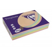 RAMETTE 5X50F REPRO 160G A4 COULEURS ASSORTIES PASTEL