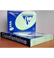RAMETTE 250F REPRO CLAIREFONTAINE 160G A4 VERT