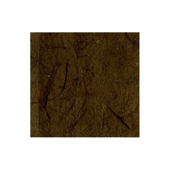 PAD98274-papier-banane-10-feuilles-65-x-95-cm-chocolat