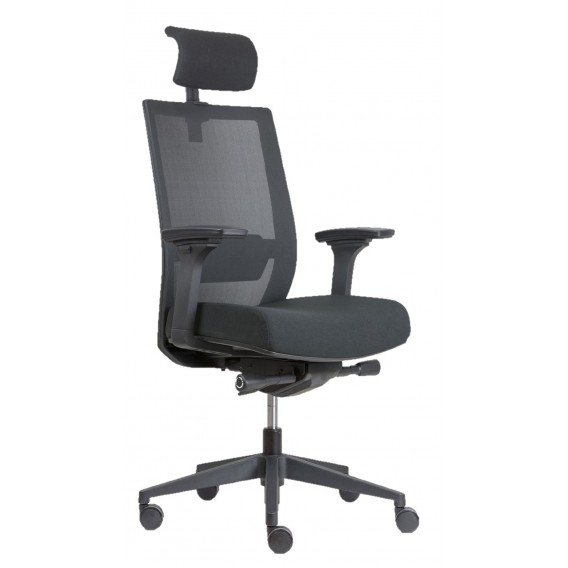 FAUTEUIL DIRECTION ERGONOMIQUE WELL