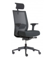 FAUTEUIL ERGONOMIQUE WELL ACCOUDOIR 3D et TETIERE