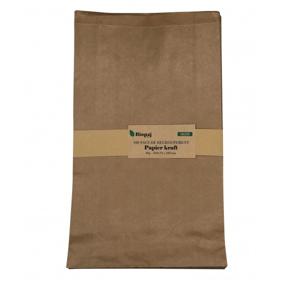 PAQUET 100 SACHETS KRAFT 60G 230+75X380mm